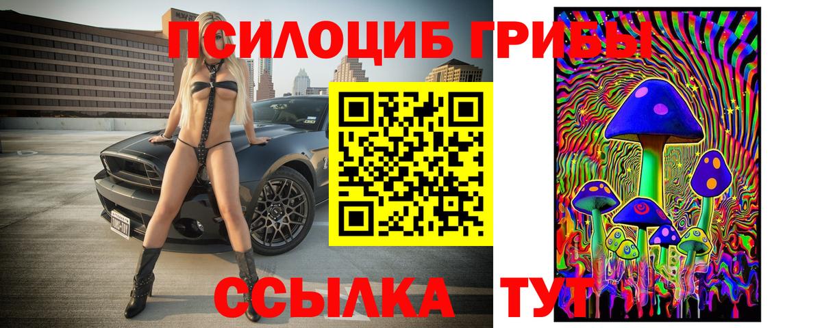 Псилоцибиновые грибы мухоморы Пенза