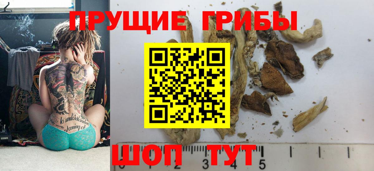 Галлюциногенные грибы Magic Shrooms  Псилоцибиновые грибы Magic Shrooms  Вход с VPN  Пенза 